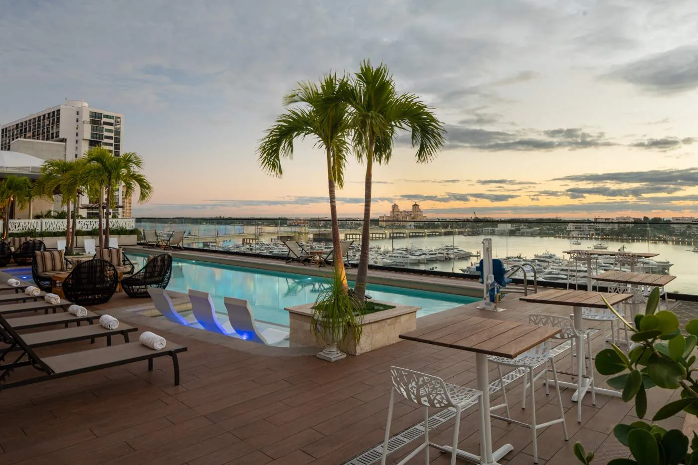 The Ben West Palm rooftop pool with Palm Harbor Marina views