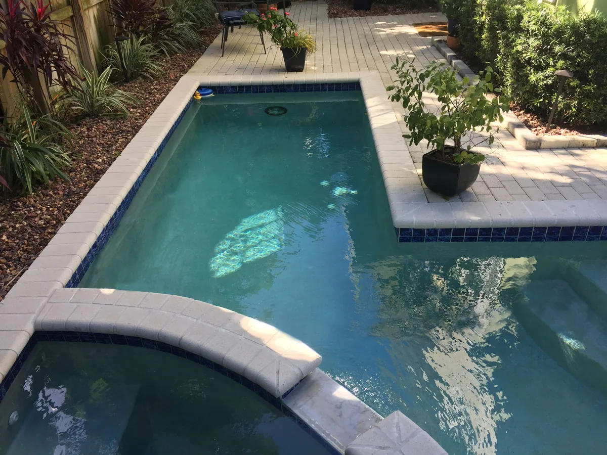 Residential pool and spa detail